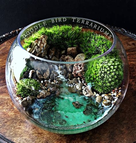 Ocean Cove Terrarium with Live Plants 3 Sizes | Etsy in 2021 | Terrarium bowls, Garden terrarium ...