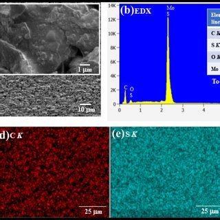 a Scanning electron microscopy image, b EDX spectrum and EDX elemental... | Download Scientific ...