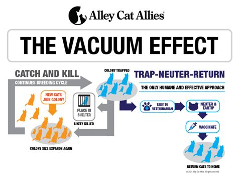 The Vacuum Effect