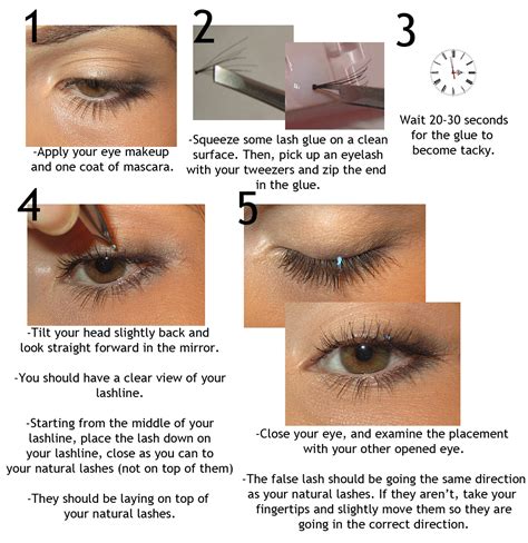 How to apply individual lashes : r/BeautyDiagrams