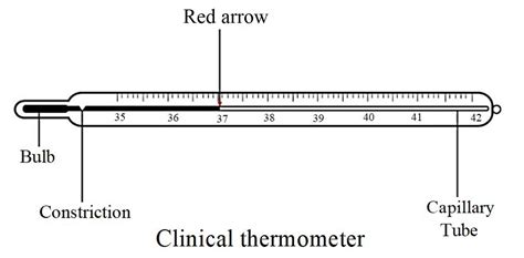 Complete Guide On Essential Thermometer Parts: Names, 49% OFF