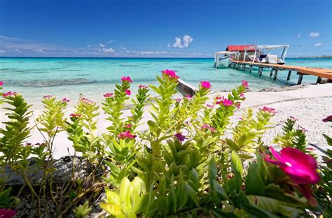 Notre semaine passée sur l'atoll de Kauehi - Superbe Tuamotu