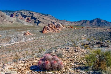 10+ Best Desert Views In Nevada - Wandertooth Travel