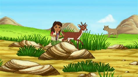 Watch Go, Diego, Go! Season 3 Episode 6: Go, Diego, Go! - Alicia and Whitetail to the Rescue ...