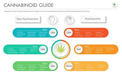 Cannabinoid Guide :: The Bud House Cannabis Dispensary