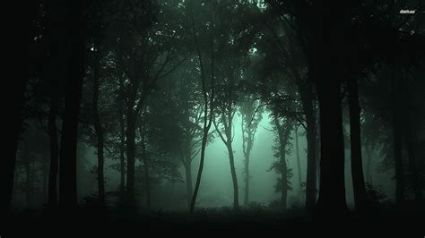 Free download Foggy Forest Wallpapers High Quality Flip Wallpapers ...