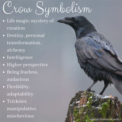 Spiritual Meaning Of A Crow - CHURCHGISTS.COM