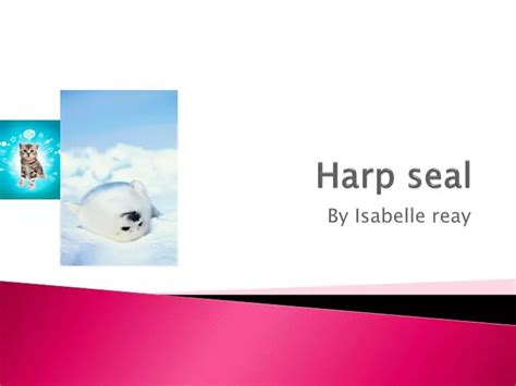 PPT - Harp seal PowerPoint Presentation, free download - ID:2328910