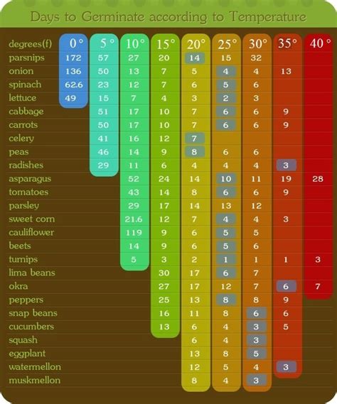 Vegetable Days To Germination Chart