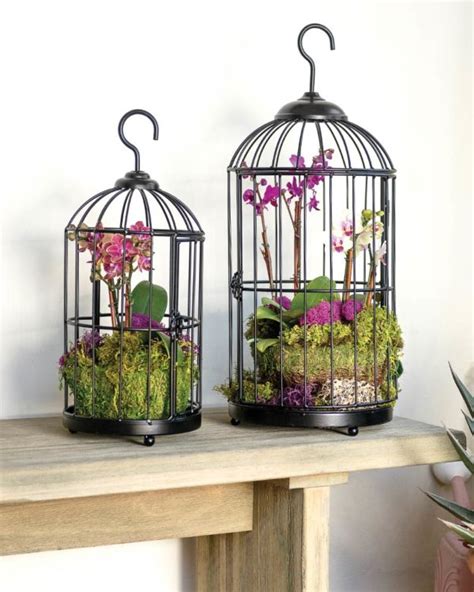 SuperMoss - Plantable Bird Cages, Set of 2, Small and Medium