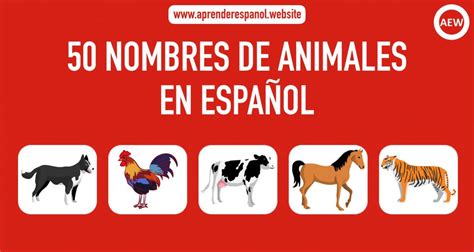 50 nombres de animales en español - Aprender español