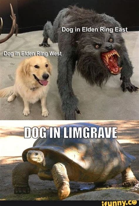 Limgrave Dog | Elden Ring "Dogs" | Know Your Meme