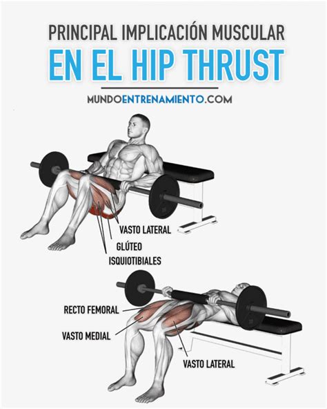 Hip Thrust【1 de los mejores ejercicios para Glúteo】