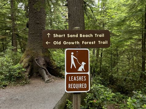 Hiking the Short Sand Beach Trail on the Oregon Coast — noahawaii