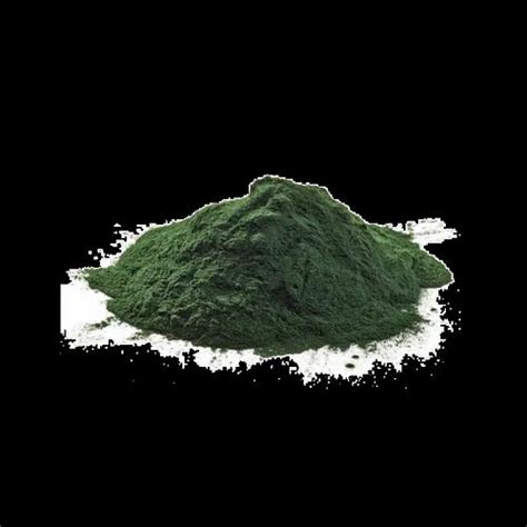 Chlorella Algae Powder . alage powder . algal powder. at Rs 280/kg ...