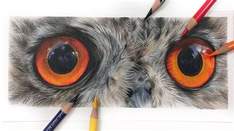 Owl Eyes Drawing