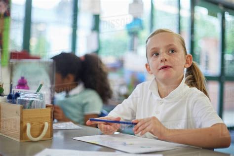 Schoolgirl looking up in classroom lesson at primary school - Stock Photo - Dissolve