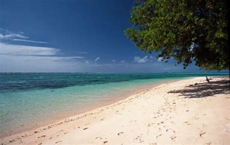 Wonders of the Marshall Islands | Wondermondo