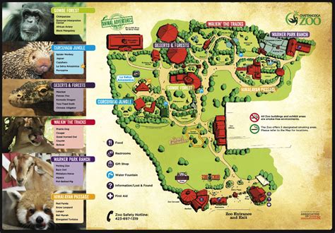 Chattanooga Zoo Map and Brochure (2024 - 2018) | ThemeParkBrochures.net