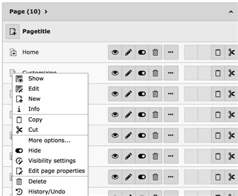 The Contextual Menus — Getting Started 10.4 documentation