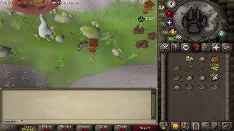 Fastest Hunter XP in OSRS