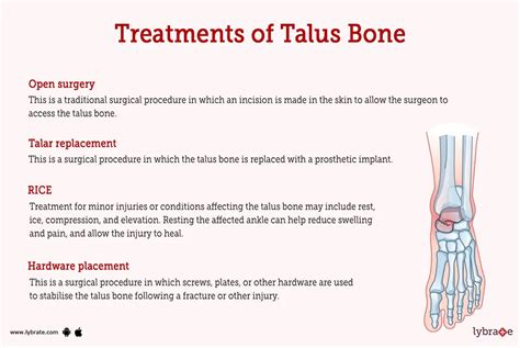 Talus Bone (Human Anatomy): Image, Functions, Diseases and Treatments