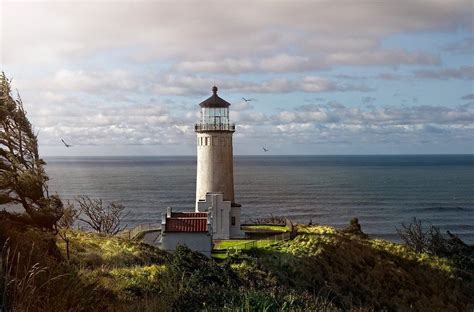 Light house at Long Beach Wa | Lighthouse, Beach, Photography