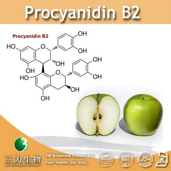 Natural Ingredient Procyanidin B2 / Apple Extract / Apple Fruit Extract ...