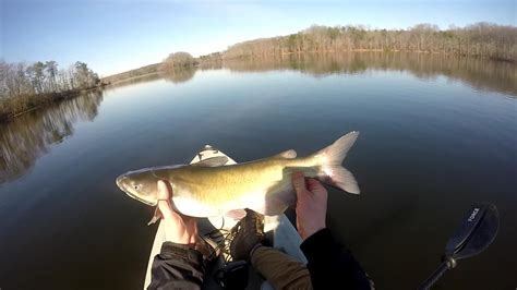 Burke Lake Kayak Fishing (January) - YouTube