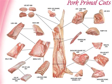 Pork Cuts Chart | Ask John The Butcher