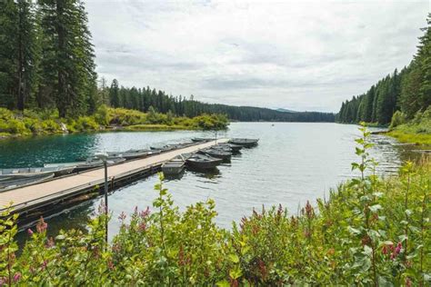 Your Guide to Exploring Clear Lake, Oregon - Oregon is for Adventure