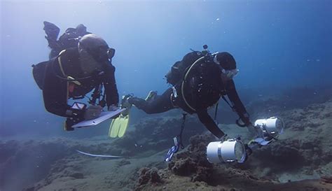 Underwater Faculty Research | California State University Monterey Bay