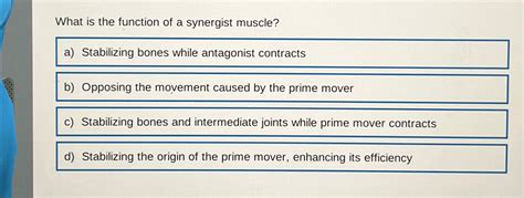 Solved What is the function of a synergist muscle?a) | Chegg.com