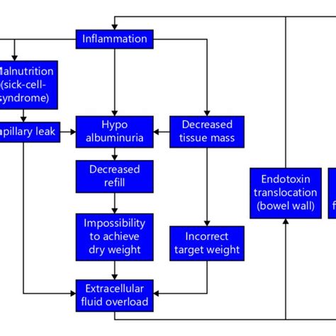 Potential pathophysiological explanations of the fluid overload and... | Download Scientific Diagram