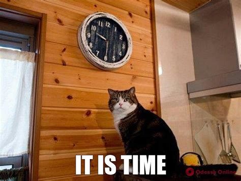 Create meme "deadline cat, cat, cat clock photo" - Pictures - Meme-arsenal.com