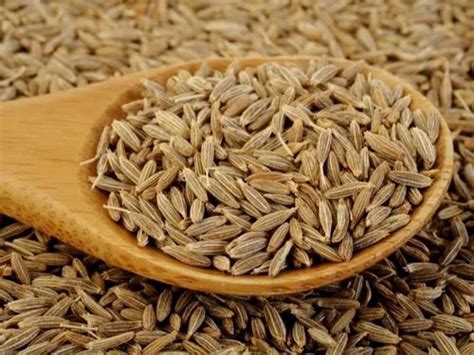 Cumin Seed (Cuminum Cyminum L.) at Rs 300/kg | R C Vyas Colony | Bhilwara | ID: 20875603762