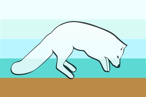 Arctic Foxgender - LGBTQIA+ Wiki