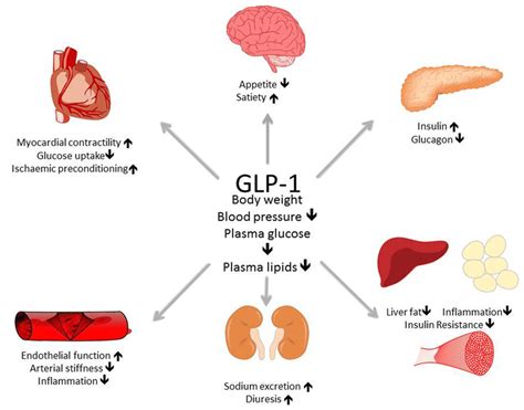 Frontiers GLP-1 Receptor Agonists And Coronary Arteries:, 55% OFF