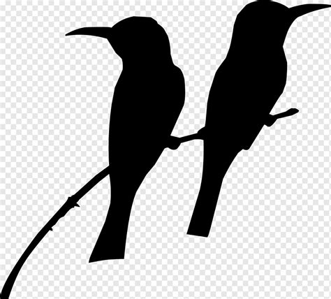 Silueta de colibrí, silueta de pájaros, animales, rama, monocromo png | PNGWing