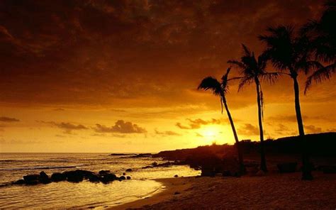 Tropical Sunset Wallpapers - Top Free Tropical Sunset Backgrounds ...