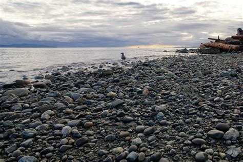 Victoria Daily Photo: Island View Beach 2