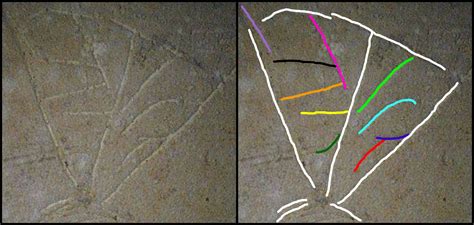 Side-by-side images with color-highlighted marks of inscribed lines at the bottom of the ...