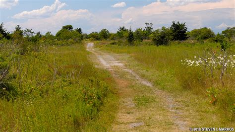 Boston Harbor Islands National Recreation Area | PEDDOCKS ISLAND HIKING TRAILS | Bringing you ...