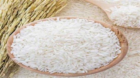 USDA lowers global rice trade forecast for 2023 & 2024 after India’s export ban