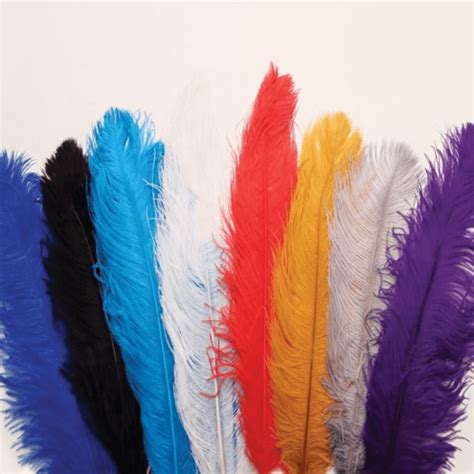 Ostrich Feathers - Medieval Renaissance Clothing, Costumes