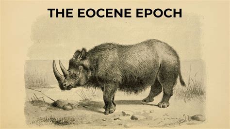 The Eocene Era - YouTube