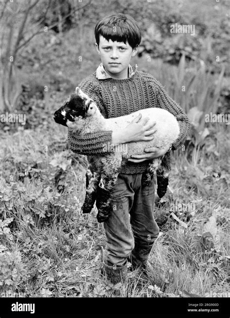 El nino del cordero Imágenes de stock en blanco y negro - Alamy