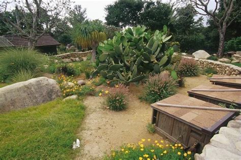 Image result for sulcata backyard design | Tortoise habitat, Outdoor tortoise enclosure, Tortoises