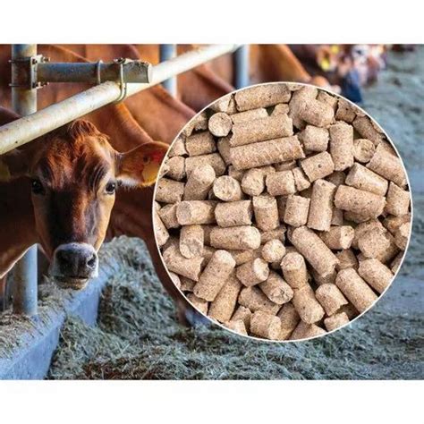 pellets Super Milk Cattle Feed, 50KG, 12% Maximum at Rs 1300/bag in Belgaum