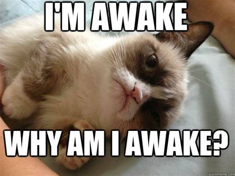 i'm awake why am i awake grumpy cat meme - Google Search | Grumpy cat ...